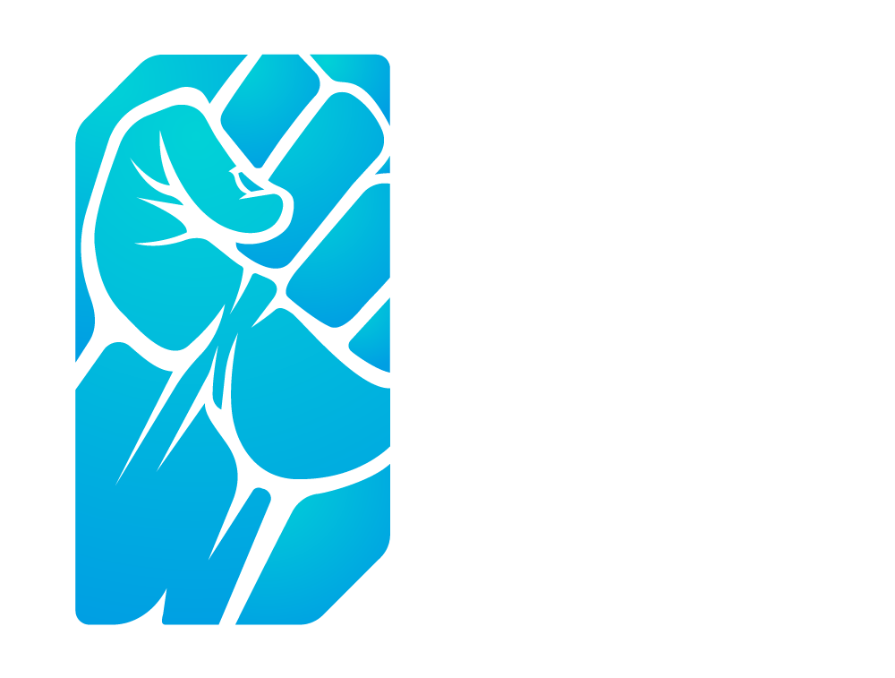 BadRez Logo